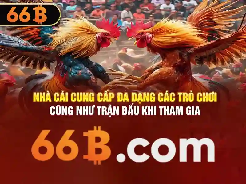 66B: Mô hình ngôn ngữ lớn và hành trình của trí tuệ nhân tạo