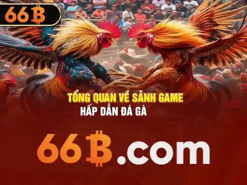 Nguồn gốc và ý nghĩa của 66b