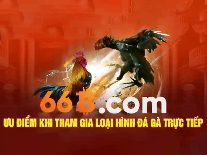 sources shein 66b may: Nguồn lực và tiềm năng thương hiệu