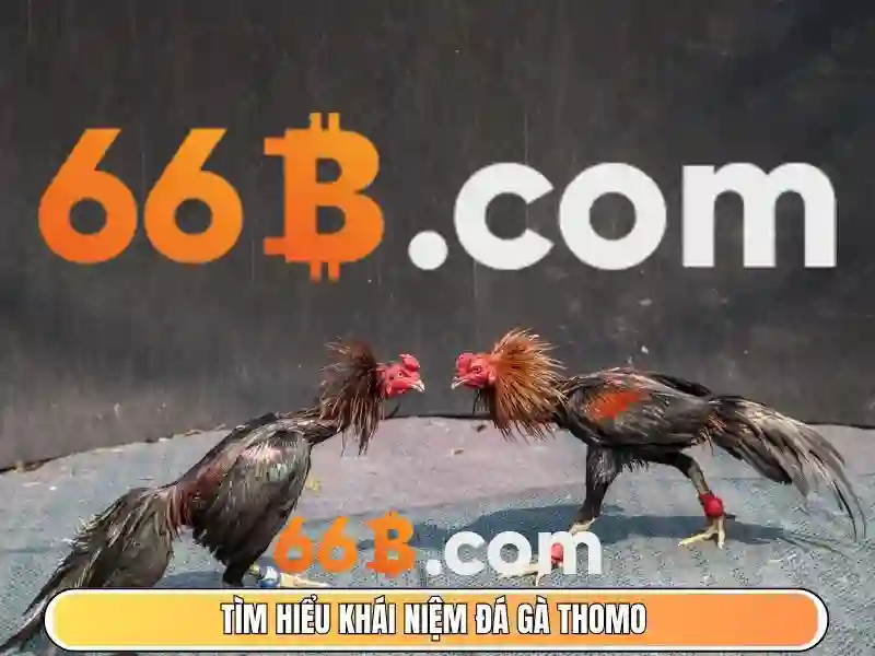 Đào tạo và dữ liệu