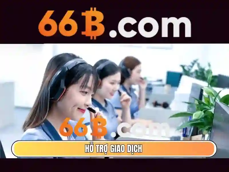 66b. com mở đầu trải nghiệm