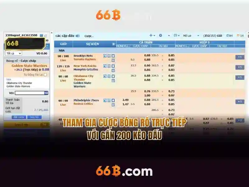 66B là gì?