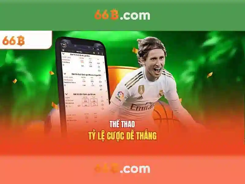 <!--IMG_PLACEHOLDER alt>Trải nghiệm người dùng và phản hồi cộng đồng-->