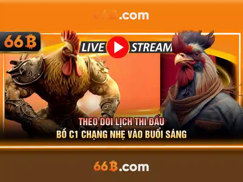 66b là gì và tiềm năng của 66b trong AI