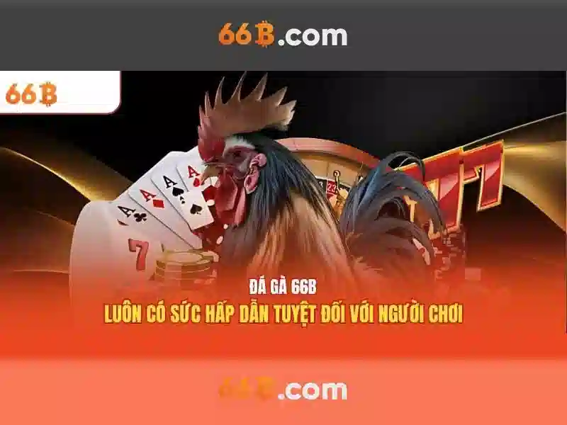 66b va nguon goc cua ten goi