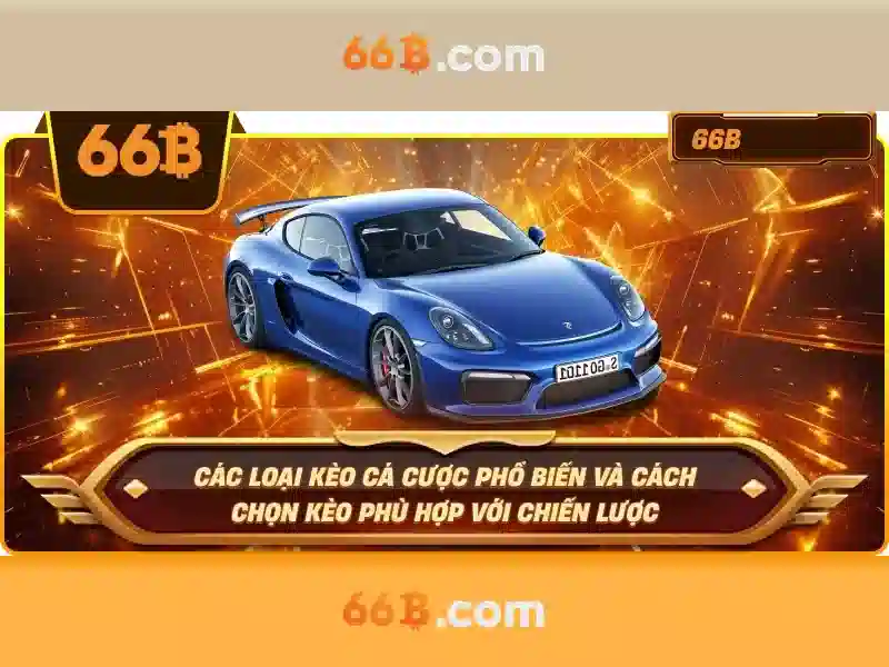 66B là gì?