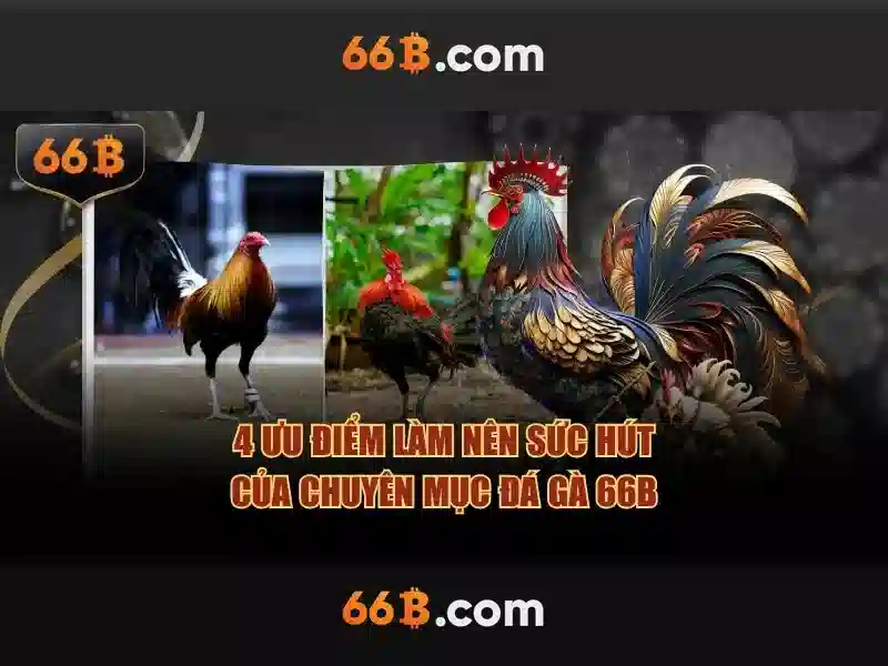 Ví dụ minh họa và trải nghiệm người dùng