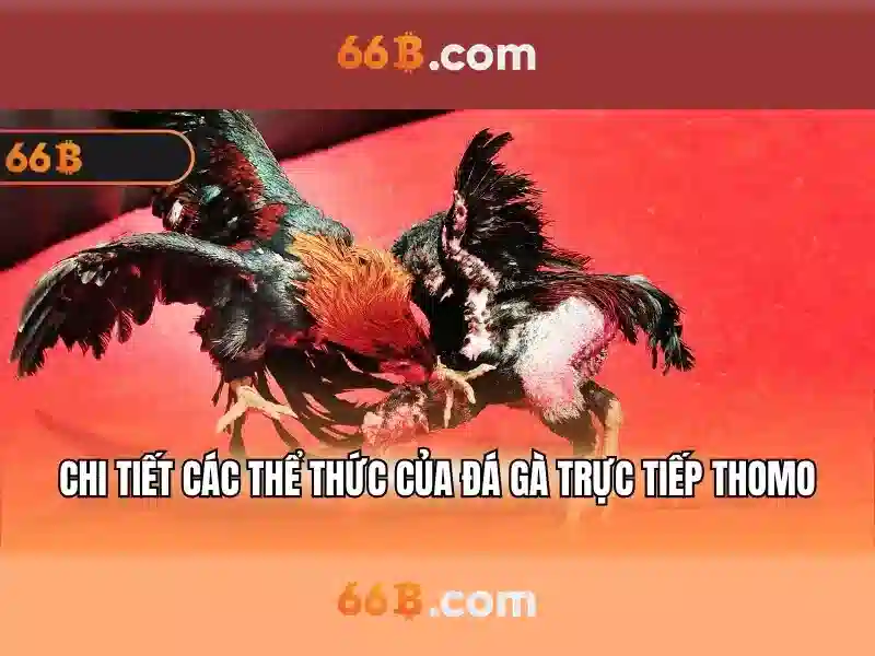 Cấu trúc và tính chất của 66b