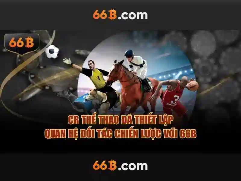 66B là gì?