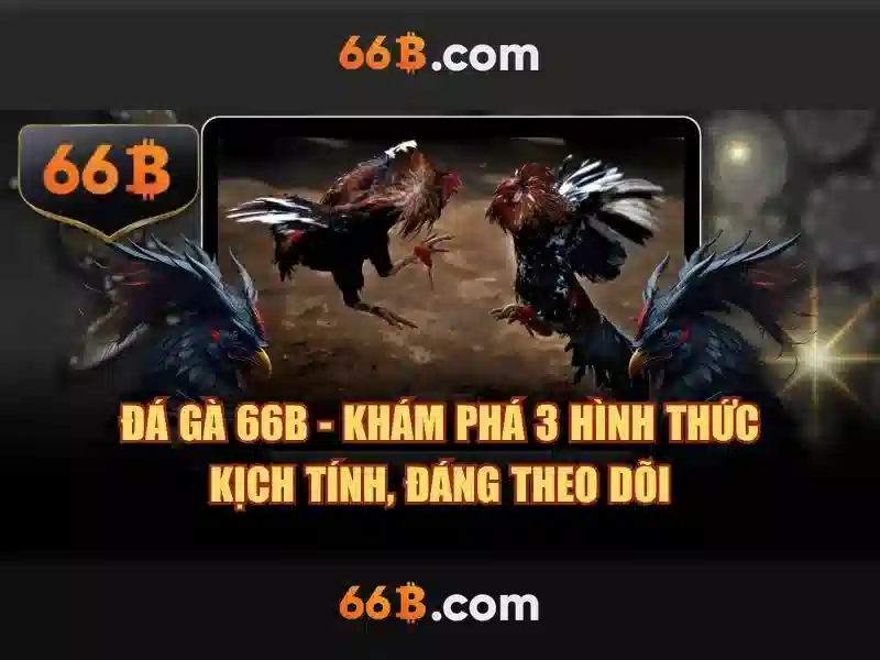 66b. com – Trải nghiệm giải trí đỉnh cao và 66b giftcode