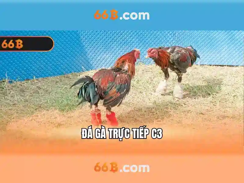 Giới thiệu về 66B