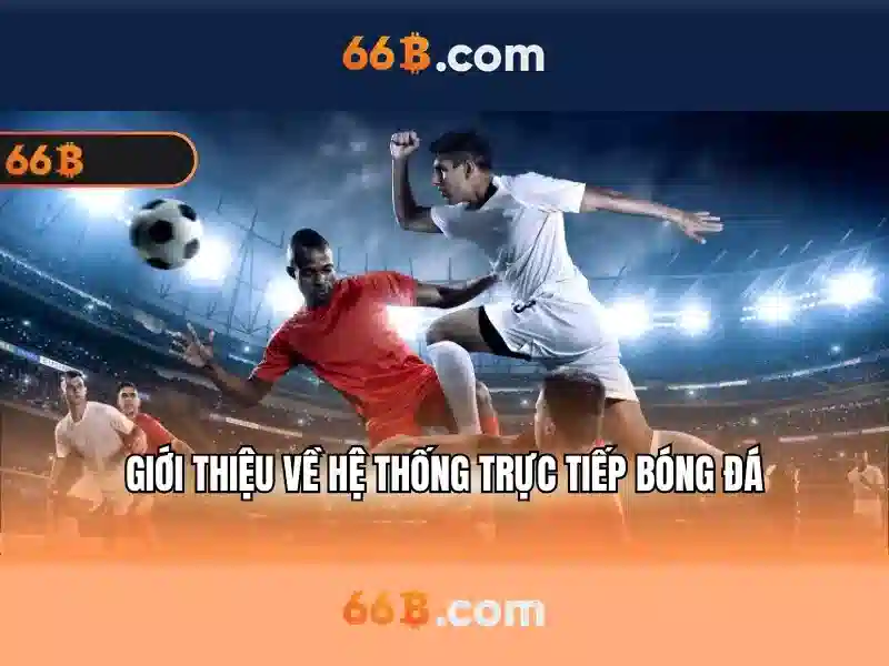 66b là gì và những ứng dụng của nó