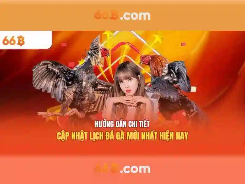Chất lượng và ứng dụng