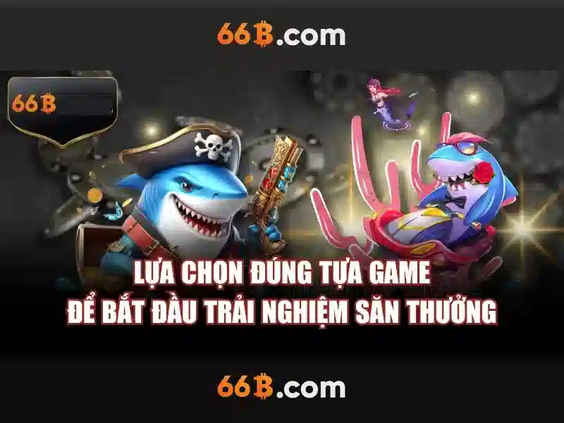 66b là gì?