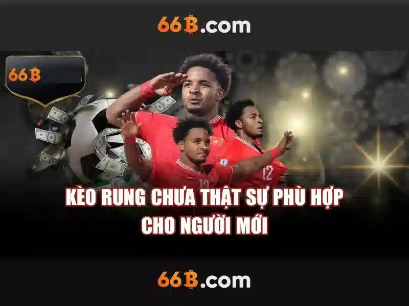 66b là gì: khái niệm và ứng dụng