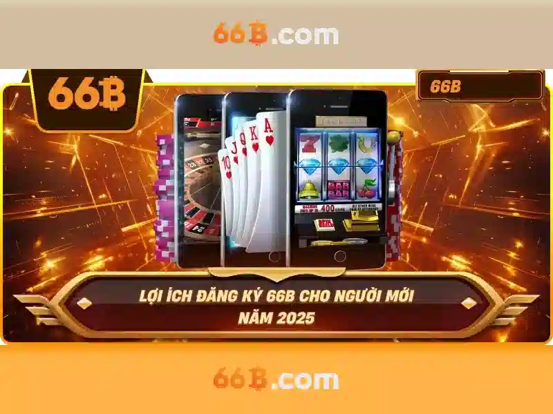 66B là gì?
