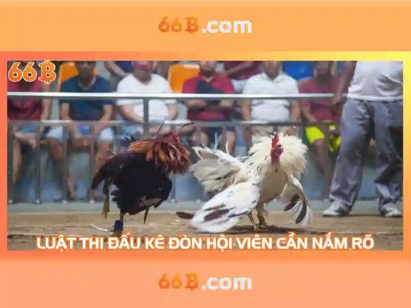 Kết luận