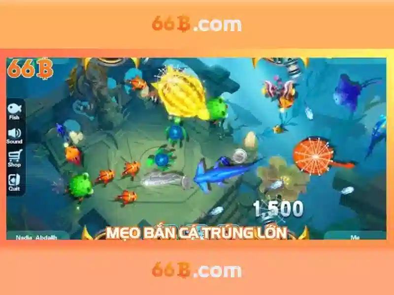 Thách thức và tiềm năng trong tương lai