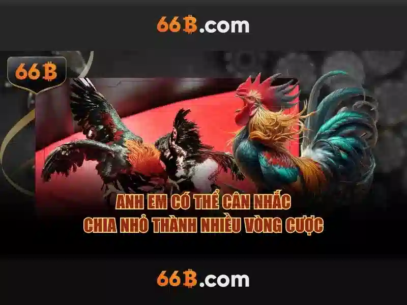 Kiến trúc và quy mô