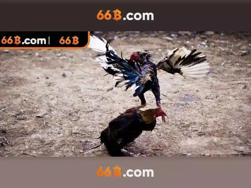 66b và sự liên hệ với các thuật toán tối ưu