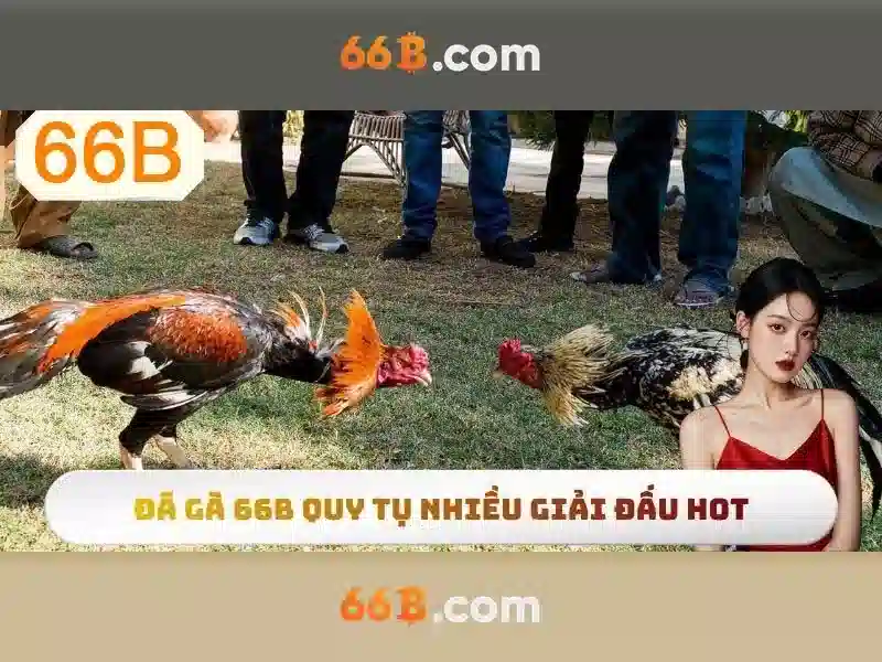 66b: Mô hình ngôn ngữ 66 tỷ tham số và tầm ảnh hưởng của nó