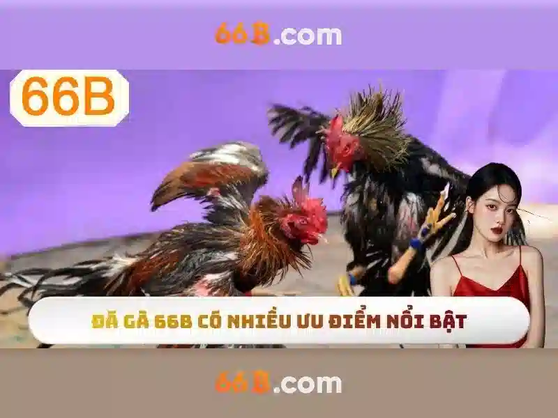 66b: Khái niệm, cơ chế và tác động