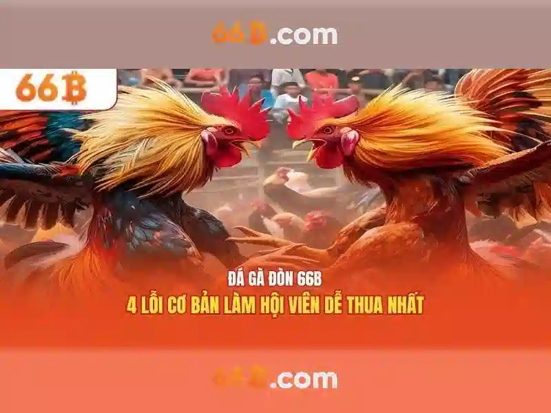 Kien truc va dao tao cua 66B