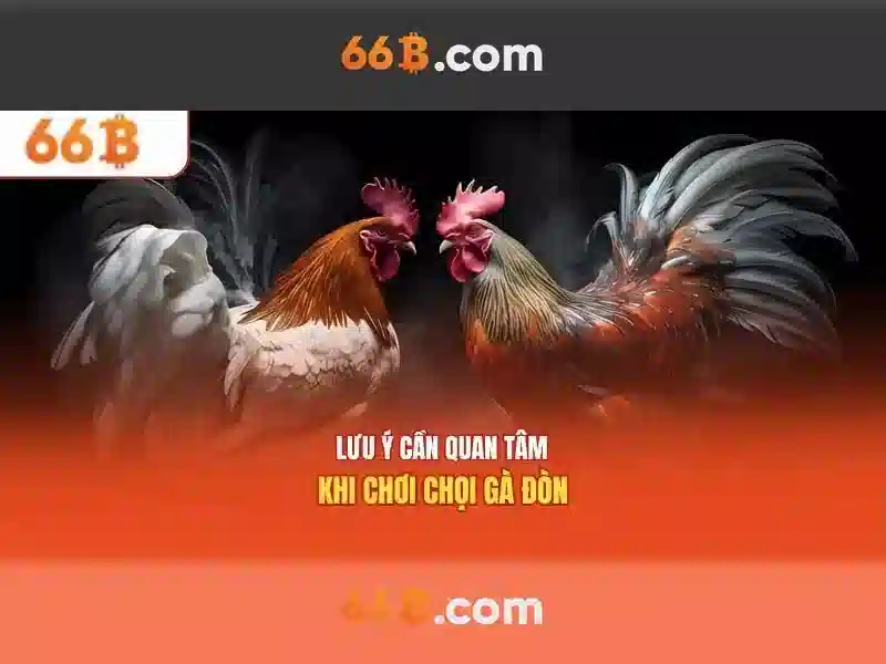 Kiến trúc của 66B