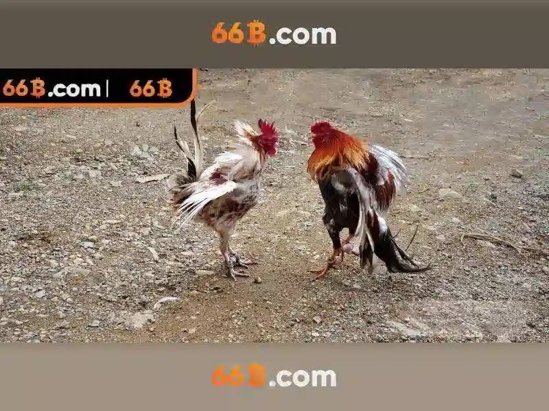Khái niệm về mô hình 66B