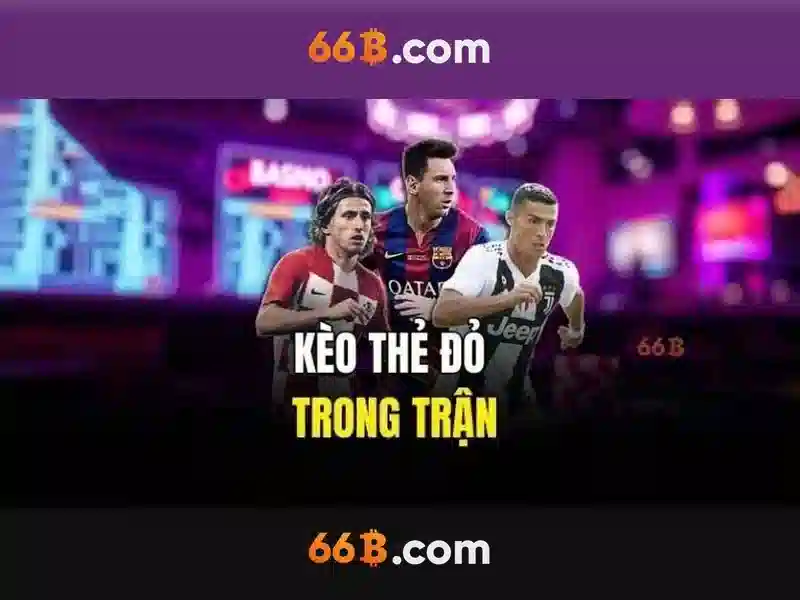 Kết luận về 66b
