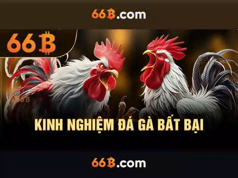 Kiến trúc và đặc điểm
