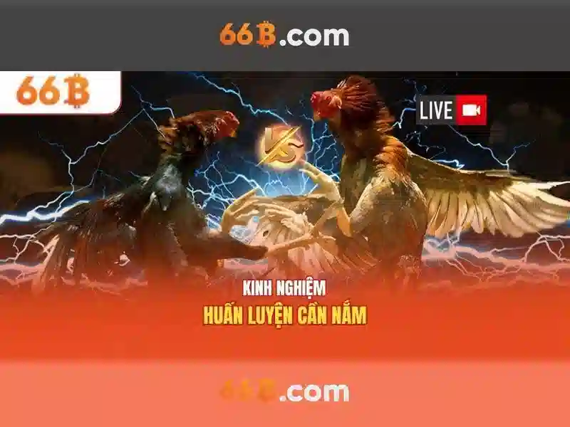Ví dụ thực tế về 66b trong sản phẩm AI