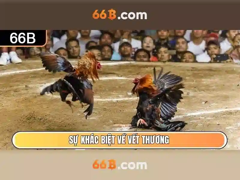Mô hình và kiến trúc liên quan