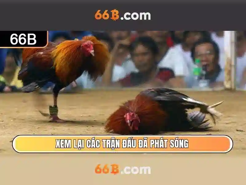 Đạo đức, an toàn và thách thức