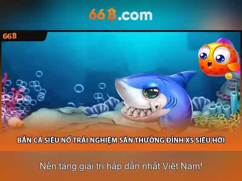 66B là gì?
