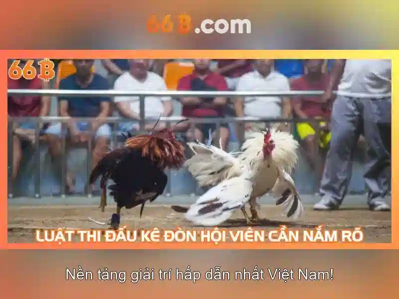 Chuyên gia soi cầu đang phân tích biểu đồ tần suất lô tô