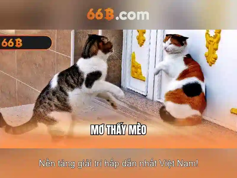 Đặc điểm nổi bật và cách hoạt động
