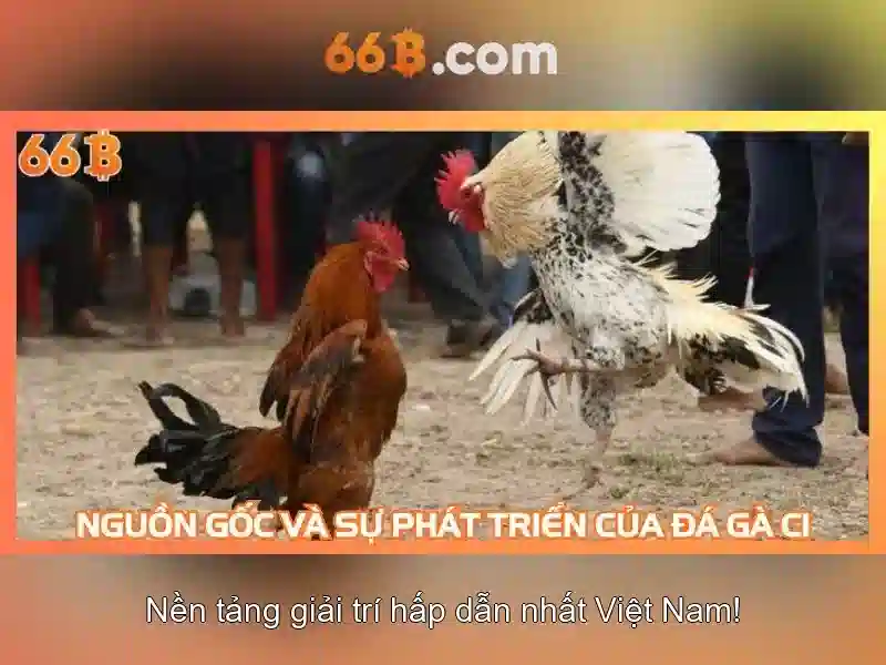 66B và sự phát triển của mô hình ngôn ngữ