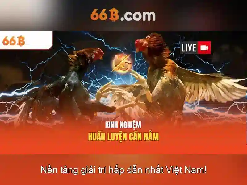 Triển vọng tương lai của 66B