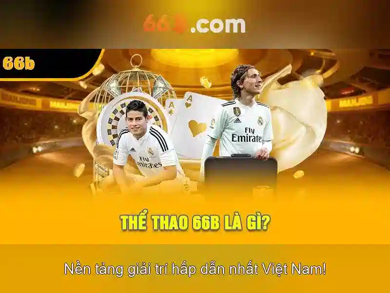 Ứng dụng của 66b trong các môi trường khác nhau