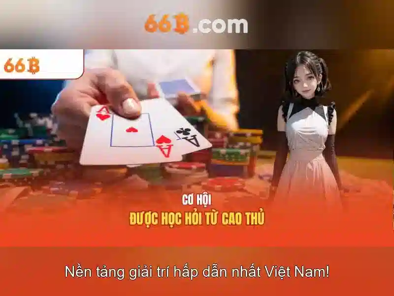 Ứng dụng của 66B trong doanh nghiệp