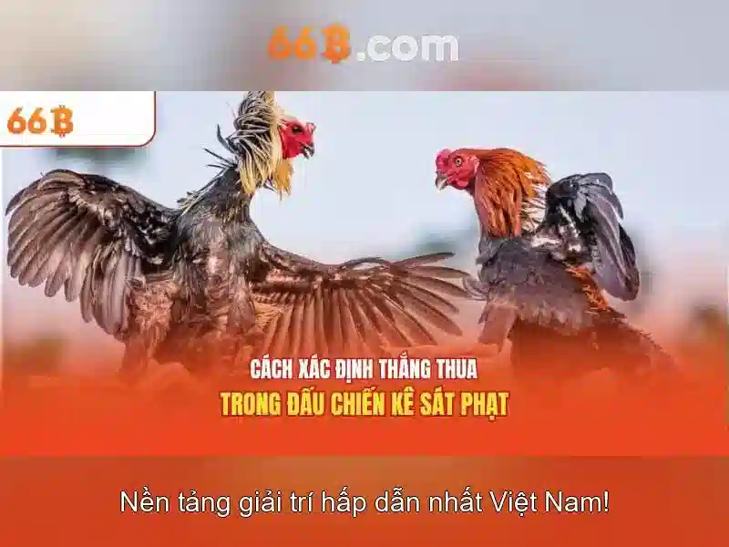 66B: Mô hình ngôn ngữ có 66 tỷ tham số và cuộc cách mạng AI