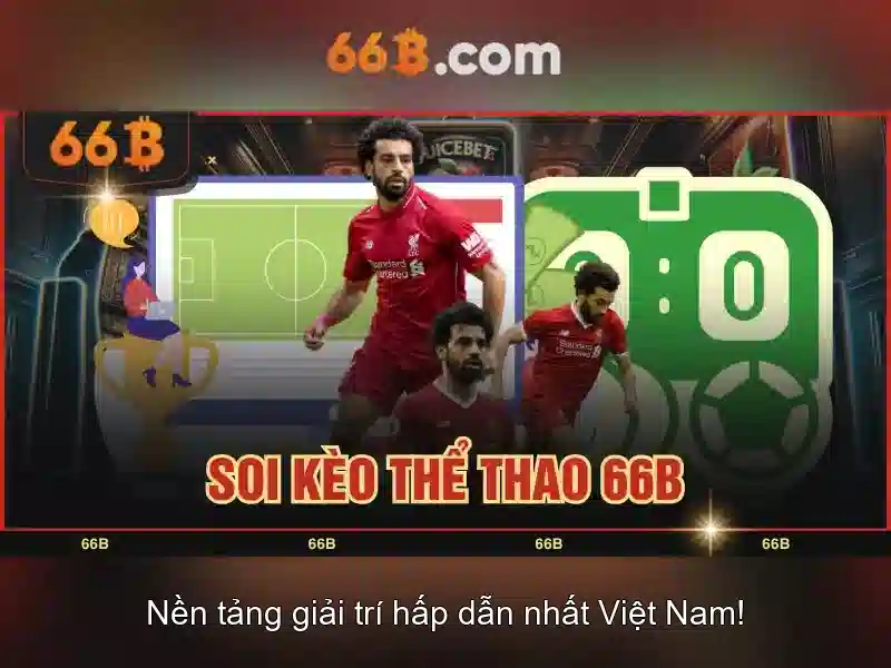 Kết luận về 66b