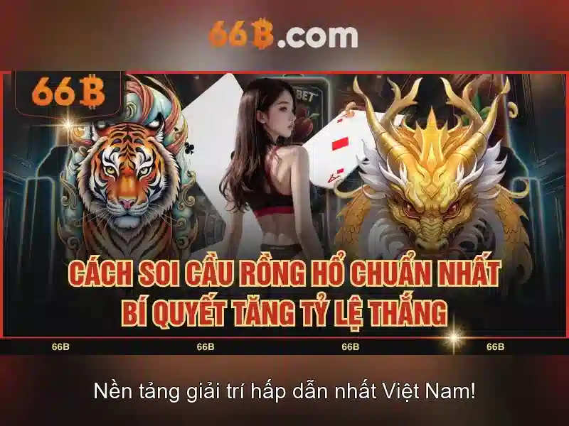 Cấu hình và tham số cơ bản