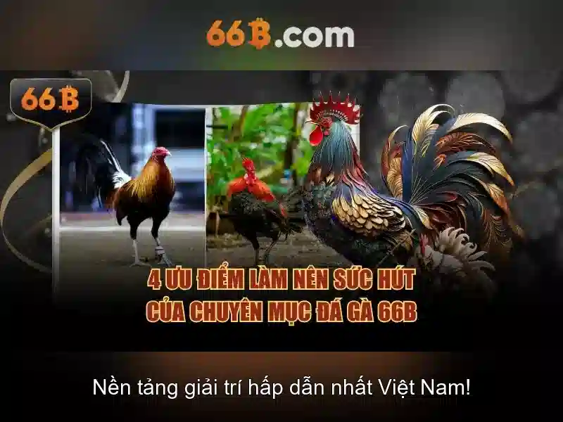 Ứng dụng và thách thức