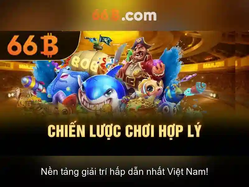 66B là gì?