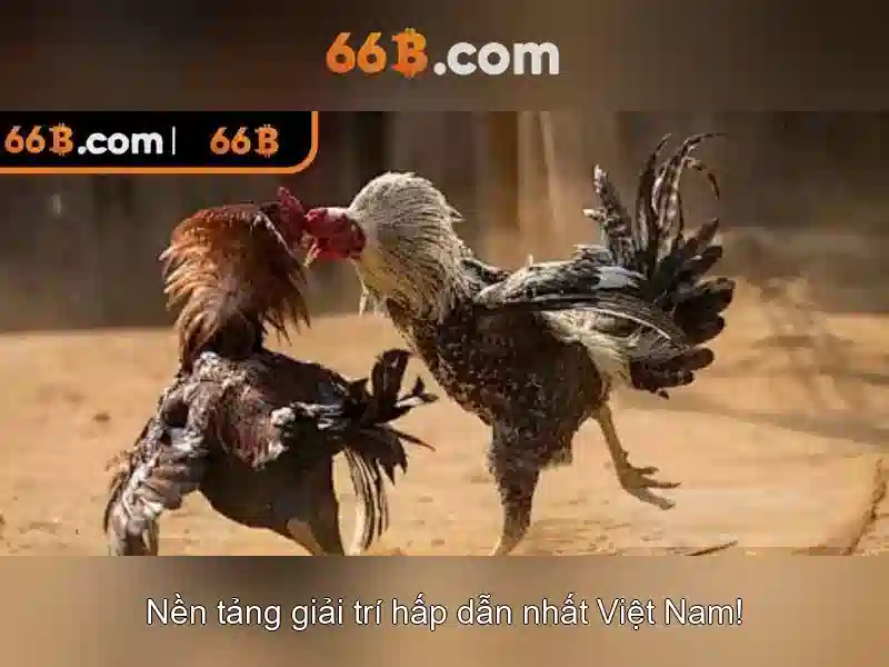 66b: Khám phá ý nghĩa và ứng dụng