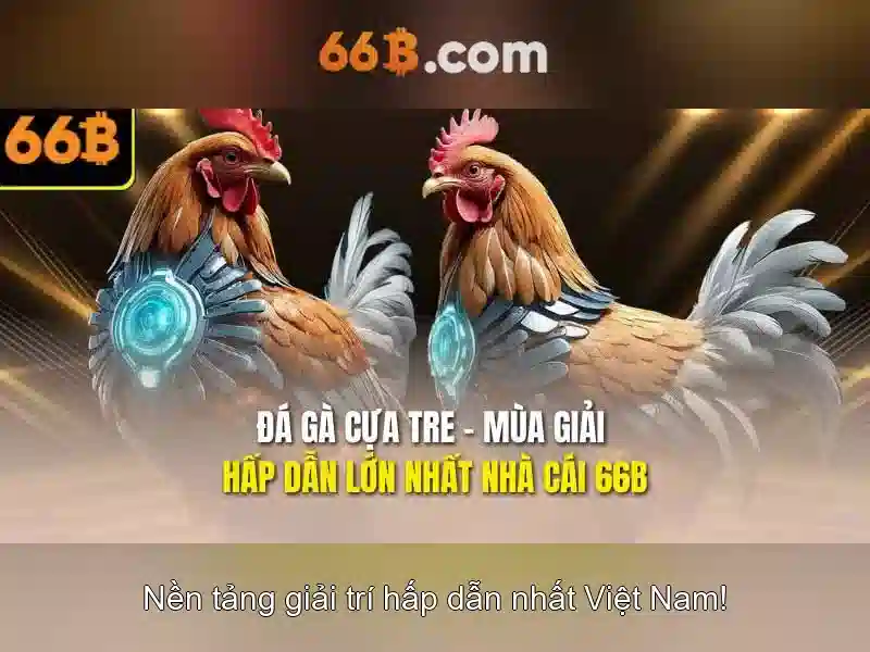 Phần giới thiệu về 66b