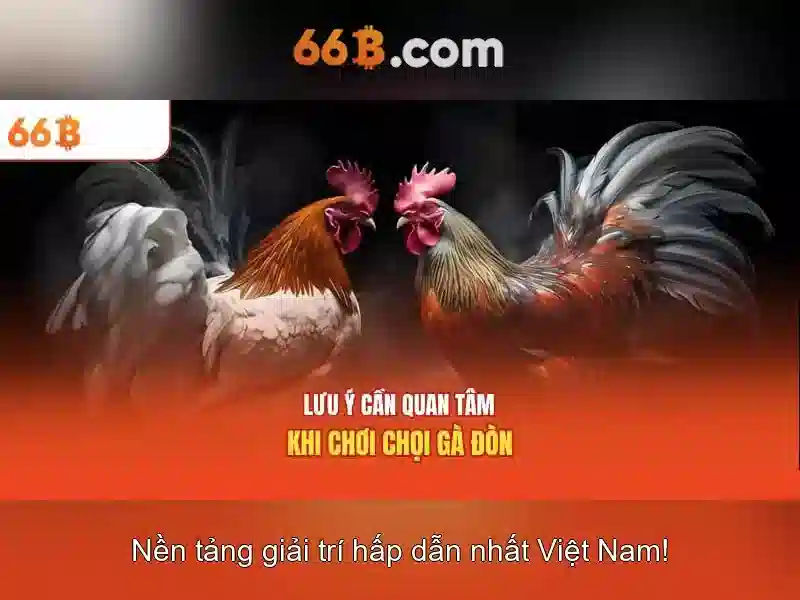 Ví dụ về 66b trong dữ liệu