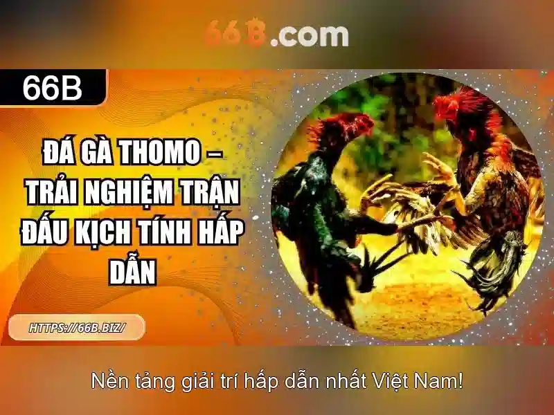 66b: một cái nhìn tổng quan về thuật ngữ công nghệ